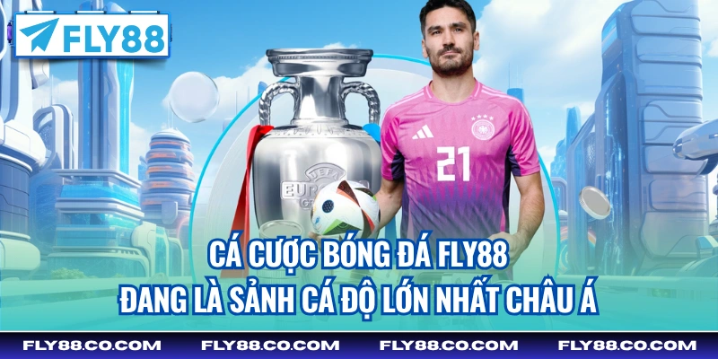 Cá cược bóng đá Fly88 đang là sảnh cá độ lớn nhất châu Á